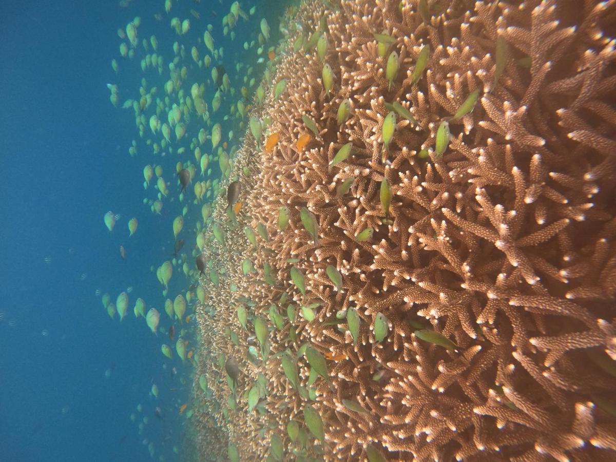 Maringo Cottage Gili Trawangan Zewnętrze zdjęcie
