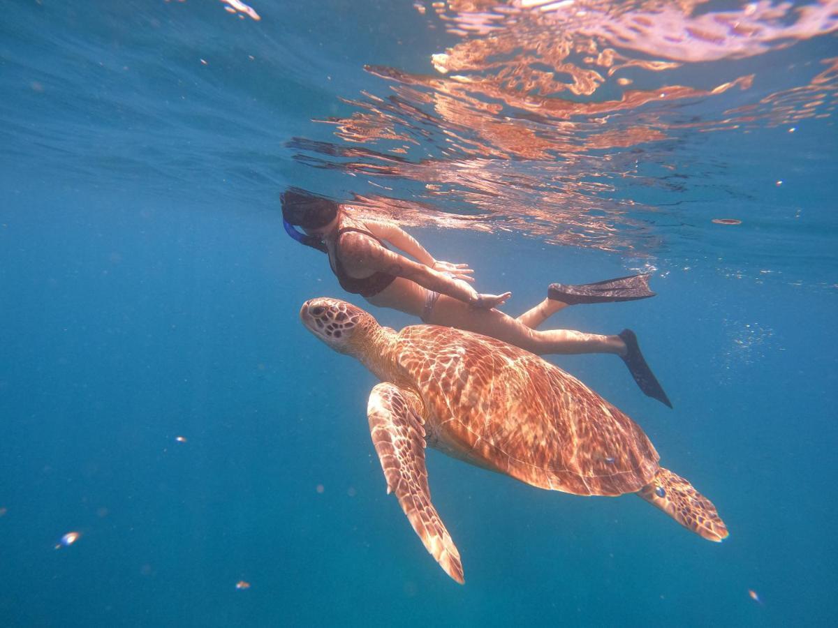 Maringo Cottage Gili Trawangan Zewnętrze zdjęcie