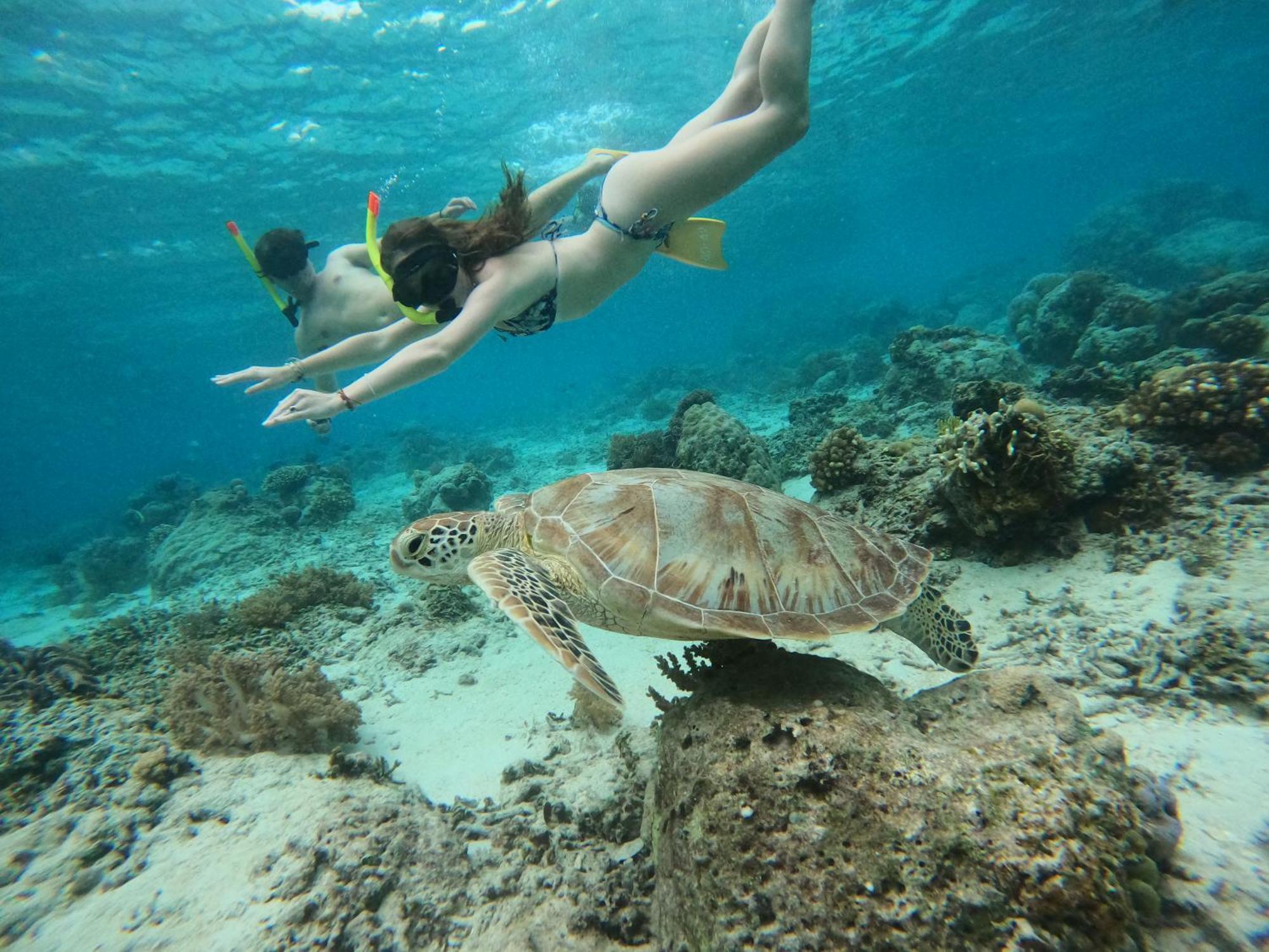 Maringo Cottage Gili Trawangan Zewnętrze zdjęcie